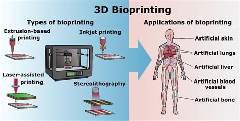 3d bioprinting definition|3D bioprinting: Materials, processes, and applications.